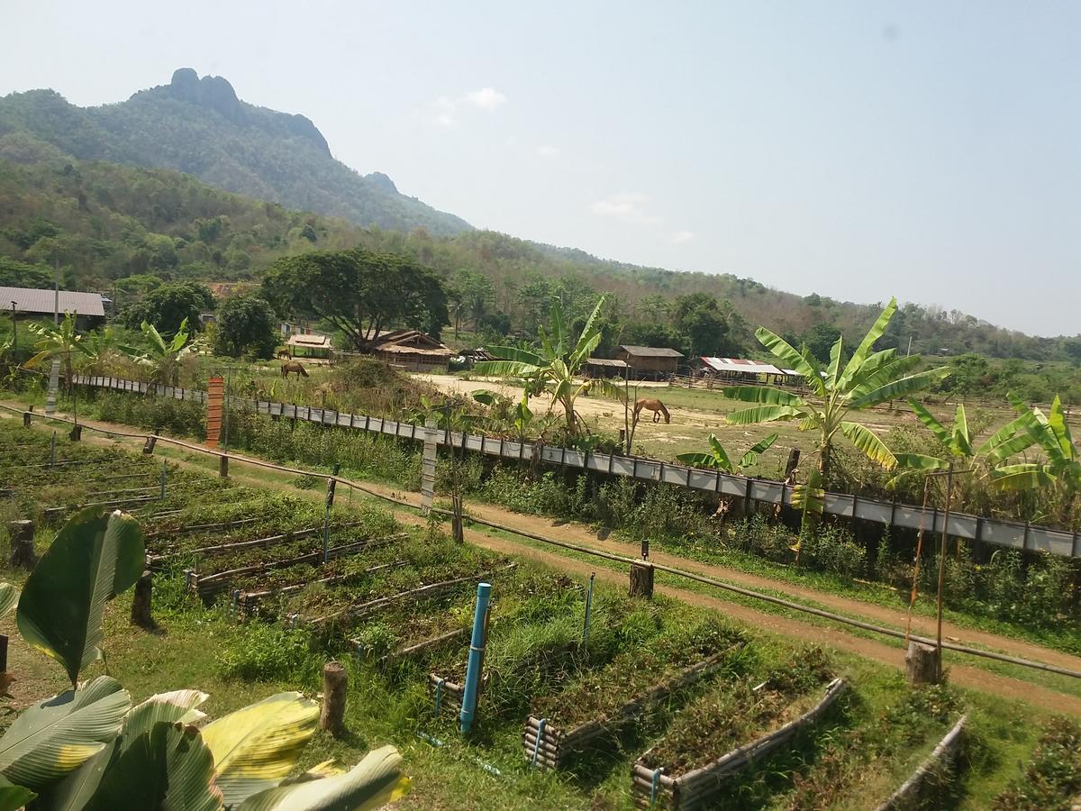 Him Doy Muang Pan Resort ฮิมดอยเมืองปานรีสอร์ท Ban Sop Pan Екстер'єр фото